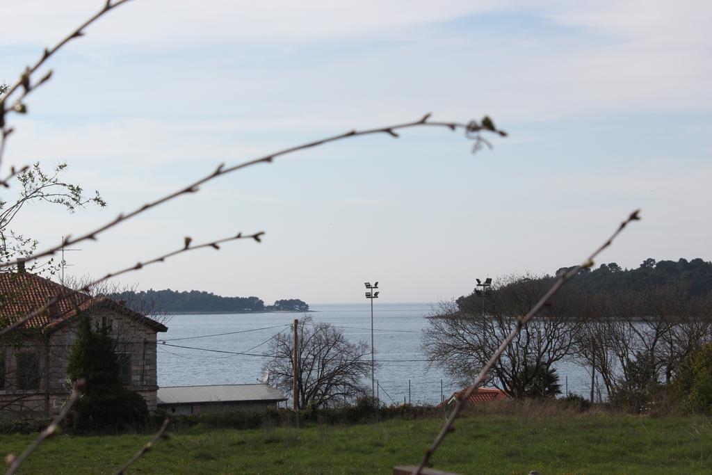 Apartment Cozy&Quiet Rovinj Exteriér fotografie
